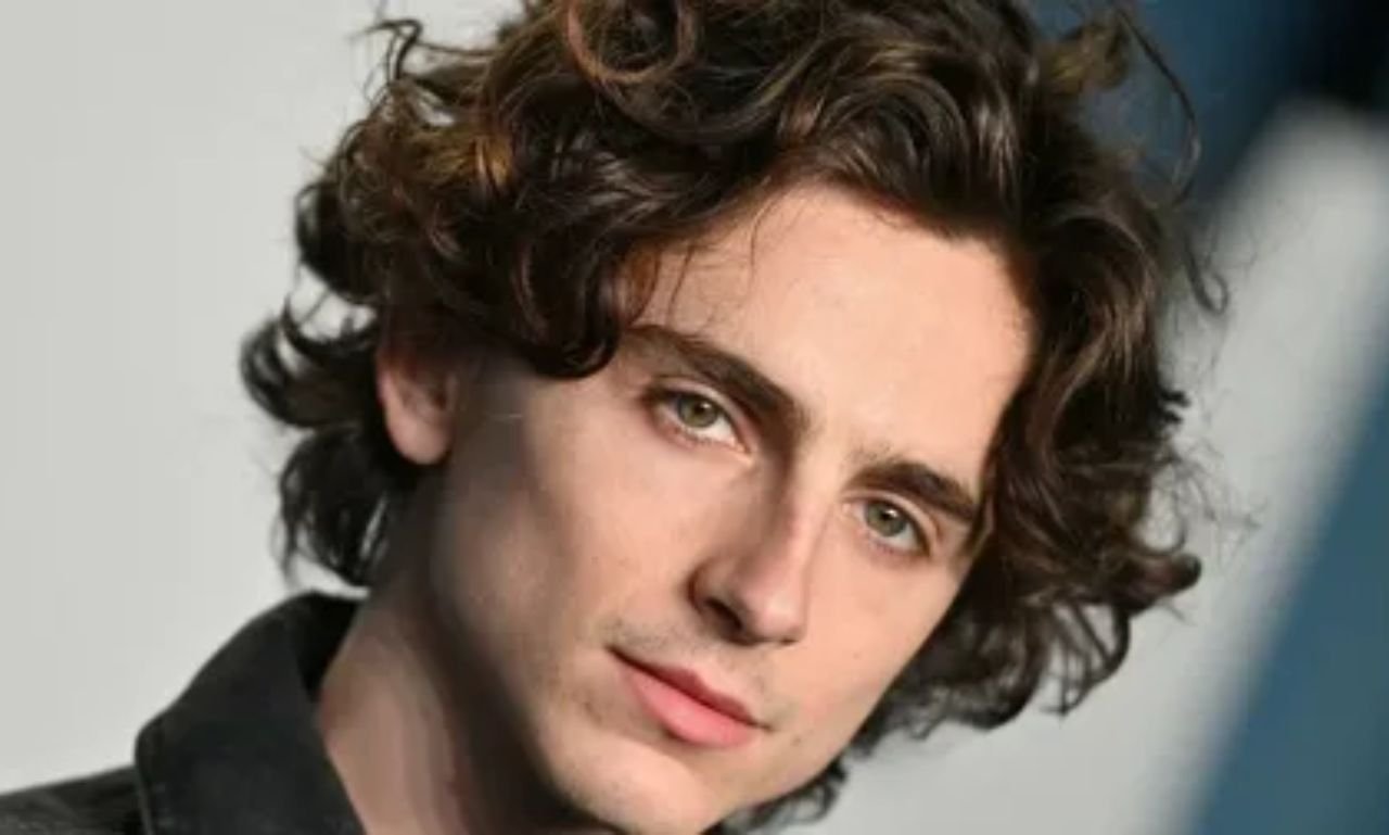 Timothée Chalamet Net Worth, Career, Dune, Wonka and Biography